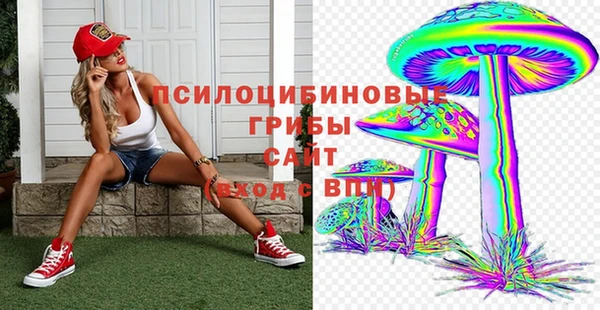 гашик Балабаново