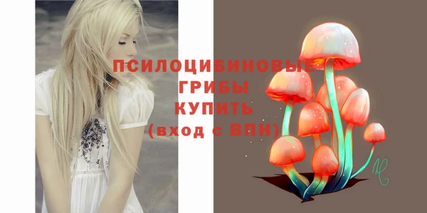 гидра Белокуриха