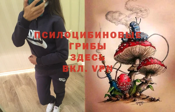 ПСИЛОЦИБИНОВЫЕ ГРИБЫ Белоозёрский
