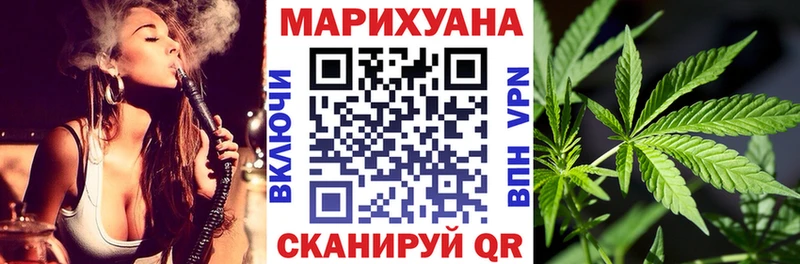 Конопля сатива  продажа наркотиков  Фурманов 